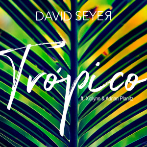 Dengarkan lagu Trópico nyanyian David Seyer dengan lirik