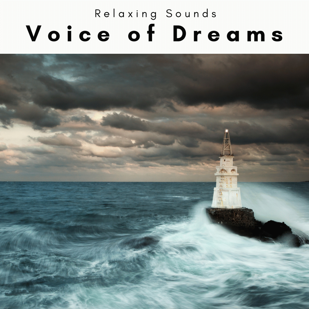 Noise of Wild Ocean Pt. 1