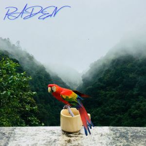 收聽Raden的Bila Aku Miliarder歌詞歌曲