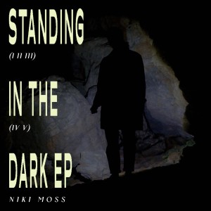 ดาวน์โหลดและฟังเพลง Standing In The Dark V พร้อมเนื้อเพลงจาก Niki Moss