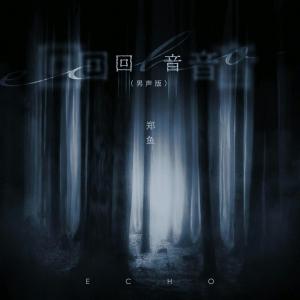 收聽鄭魚的迴音(男聲版)歌詞歌曲