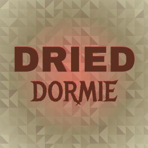 Various的专辑Dried Dormie