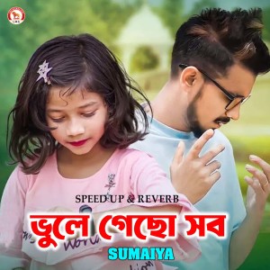 Listen to Vule Gecho Sob (Speed up & Reverb) song with lyrics from Sumaiya