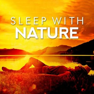 ดาวน์โหลดและฟังเพลง Small Brook พร้อมเนื้อเพลงจาก Sleep Sounds of Nature