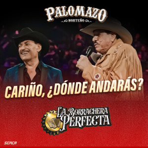 Listen to Cariño Dónde Andarás (En Vivo) song with lyrics from PALOMAZO NORTEÑO