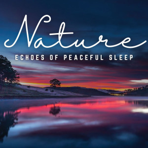 Nighttime Serenity: Echoes of Peaceful Sleep