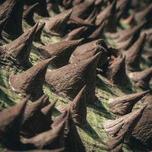 Dengarkan Fobia (feat. Lola Espiñeira) lagu dari Franco Fraga dengan lirik