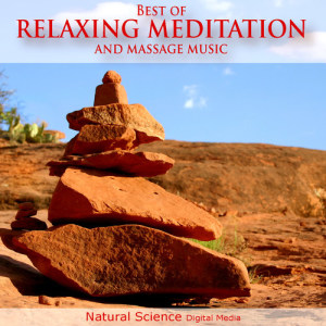 收聽Best of Relaxing Meditation and Massage Music的Bird Song Music歌詞歌曲
