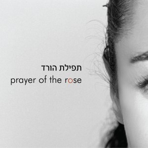 ดาวน์โหลดและฟังเพลง Night พร้อมเนื้อเพลงจาก Shai Wetzer