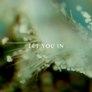 ANNA的專輯Let You In