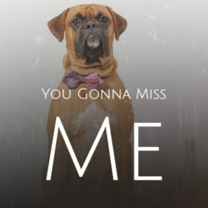 Album You Gonna Miss Me from Various