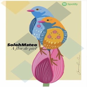 收听Solohmateo的A flor de piel (其他)歌词歌曲