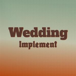 收聽Riah Minah的Wedding Implement歌詞歌曲