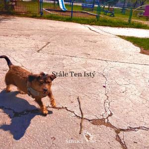 收聽šmuci的Dnes (feat. KaTee) (Explicit)歌詞歌曲