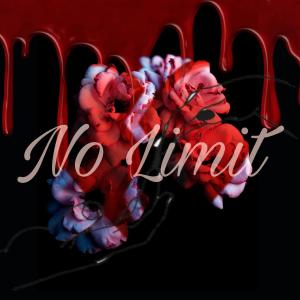 Album No Limit (Explicit) from Polo251