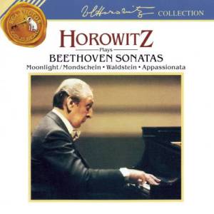 收聽Vladimir Horowitz的Piano Sonata, Op. 27, No. 2 "Moonlight/Mondschein": Adagio sostenuto歌詞歌曲