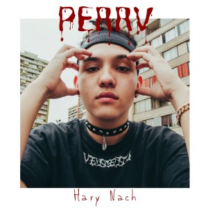 Album Perrv from Harry Nach