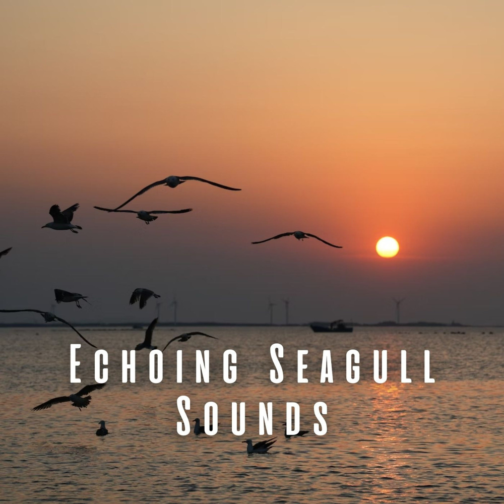 Resonant Seagull Harmony