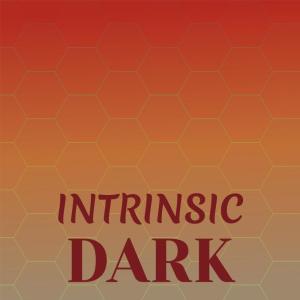 收听Cacious的Intrinsic Dark歌词歌曲