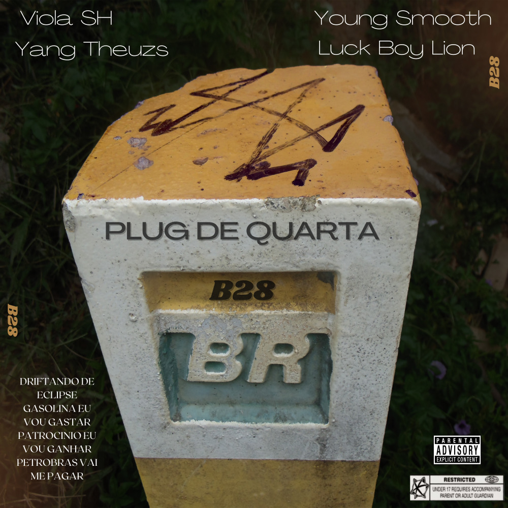 Plug de Quarta