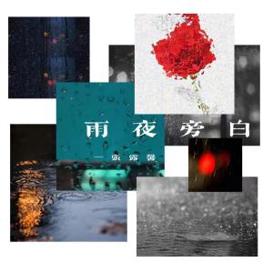 อัลบัม 雨夜旁白 ศิลปิน 张露馨