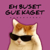 default album img