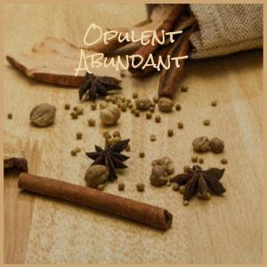 收聽Runa Bagh的Excuse Mountain歌詞歌曲