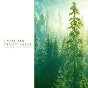 Dengarkan A Heart That Dreams Of Happiness Nature Version (Nature Ver.) lagu dari 안시윤 dengan lirik