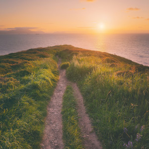 ดาวน์โหลดและฟังเพลง Neon Rain พร้อมเนื้อเพลงจาก driftø blues