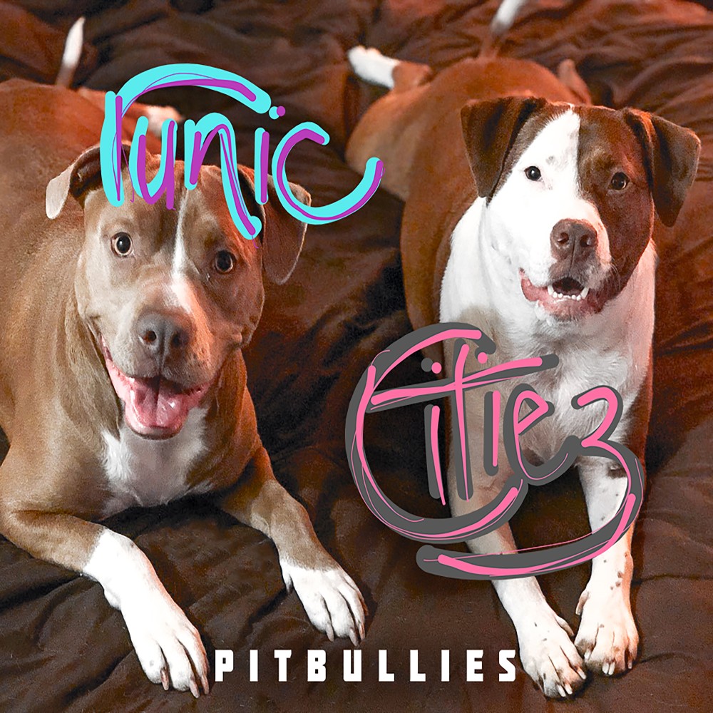 Pitbullies (Explicit)