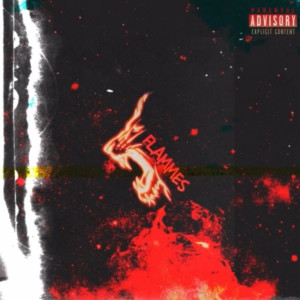 Album Flammes (Explicit) from LUIS LA Z