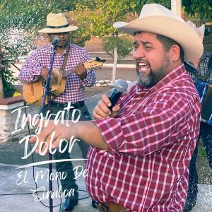 Dengarkan lagu Irresistible nyanyian El Mono de Sinaloa dengan lirik