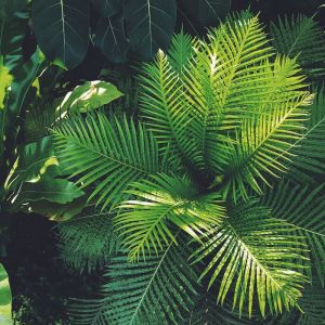 收听Deep Sleep的Orinoco Flow歌词歌曲