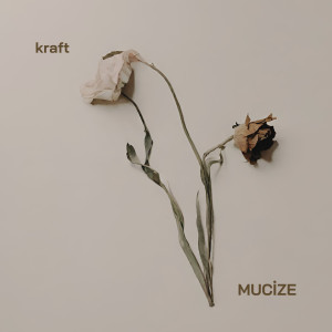 Album Mucize from Kraft