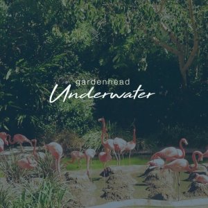 ดาวน์โหลดและฟังเพลง Underwater พร้อมเนื้อเพลงจาก Casey Bolles