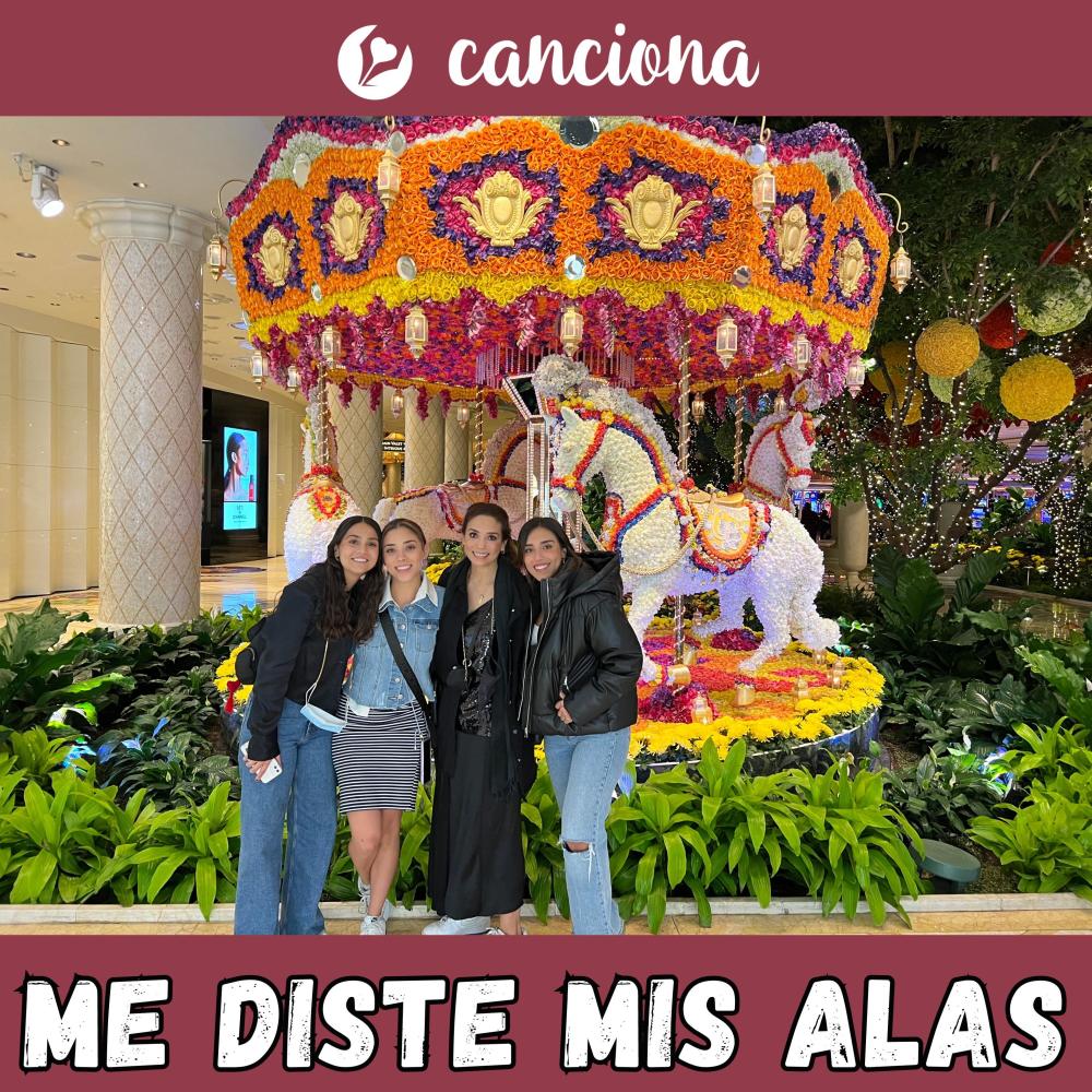 Me diste mis alas
