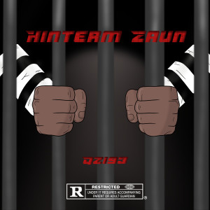 Album Hinterm Zaun (Explicit) from QZI93