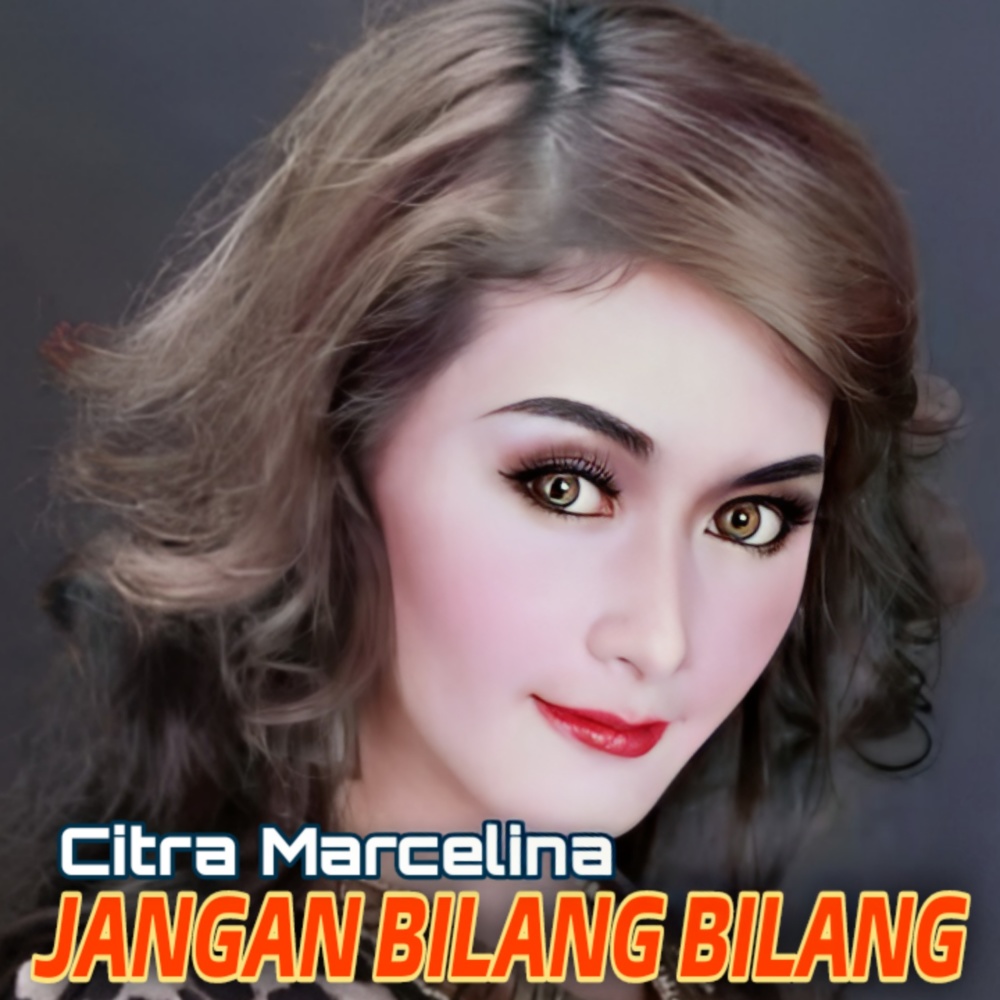 Jangan Bilang Bilang (Remix)
