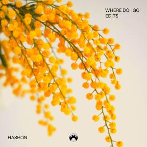Listen to Where Do I Go (feat. Mikara) (slowed & reverbed) song with lyrics from Hashon