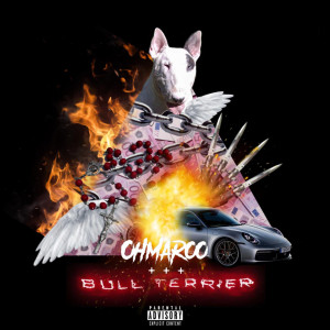 收聽Ohmaroo的Bull Terrier (Explicit)歌詞歌曲