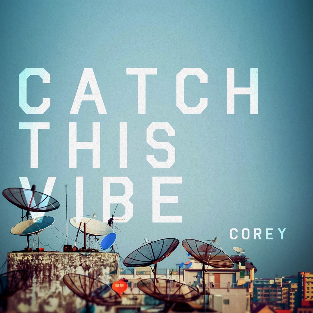 Catch This Vibe (Darwin Remix)