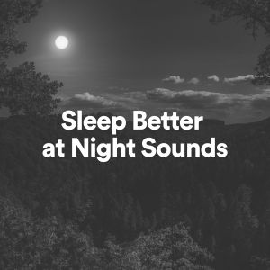 Listen to Sleep Better at Night Sounds, Pt. 29 song with lyrics from Womb Sound