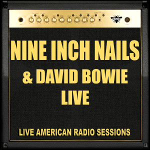 Dengarkan lagu The Becoming (Live) nyanyian Nine Inch Nails dengan lirik