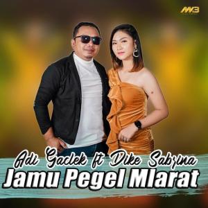 Listen to Jamu Pegel Mlarat song with lyrics from Dike Sabrina