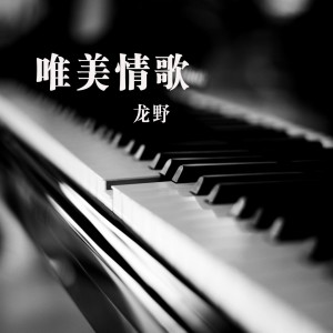 Listen to 有多少难忘记 (完整版) song with lyrics from 龙野