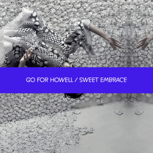 ดาวน์โหลดและฟังเพลง Won't You Wait For Me พร้อมเนื้อเพลงจาก Go For Howell