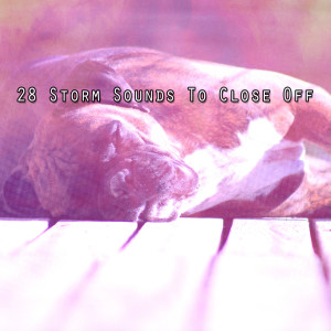 Ambient Rain的专辑28 Storm Sounds To Close Off