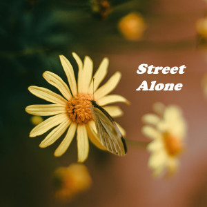 Daniel James的專輯Street Alone