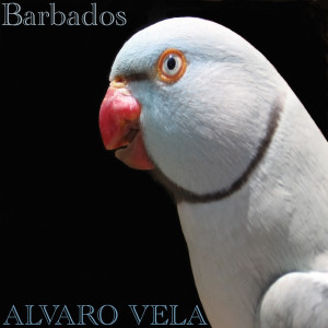 อัลบัม Barbados ศิลปิน Alvaro Vela