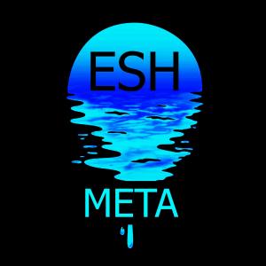 Listen to META song with lyrics from Esh